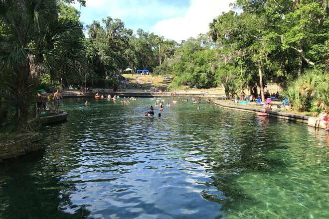 wekiwa springs state park