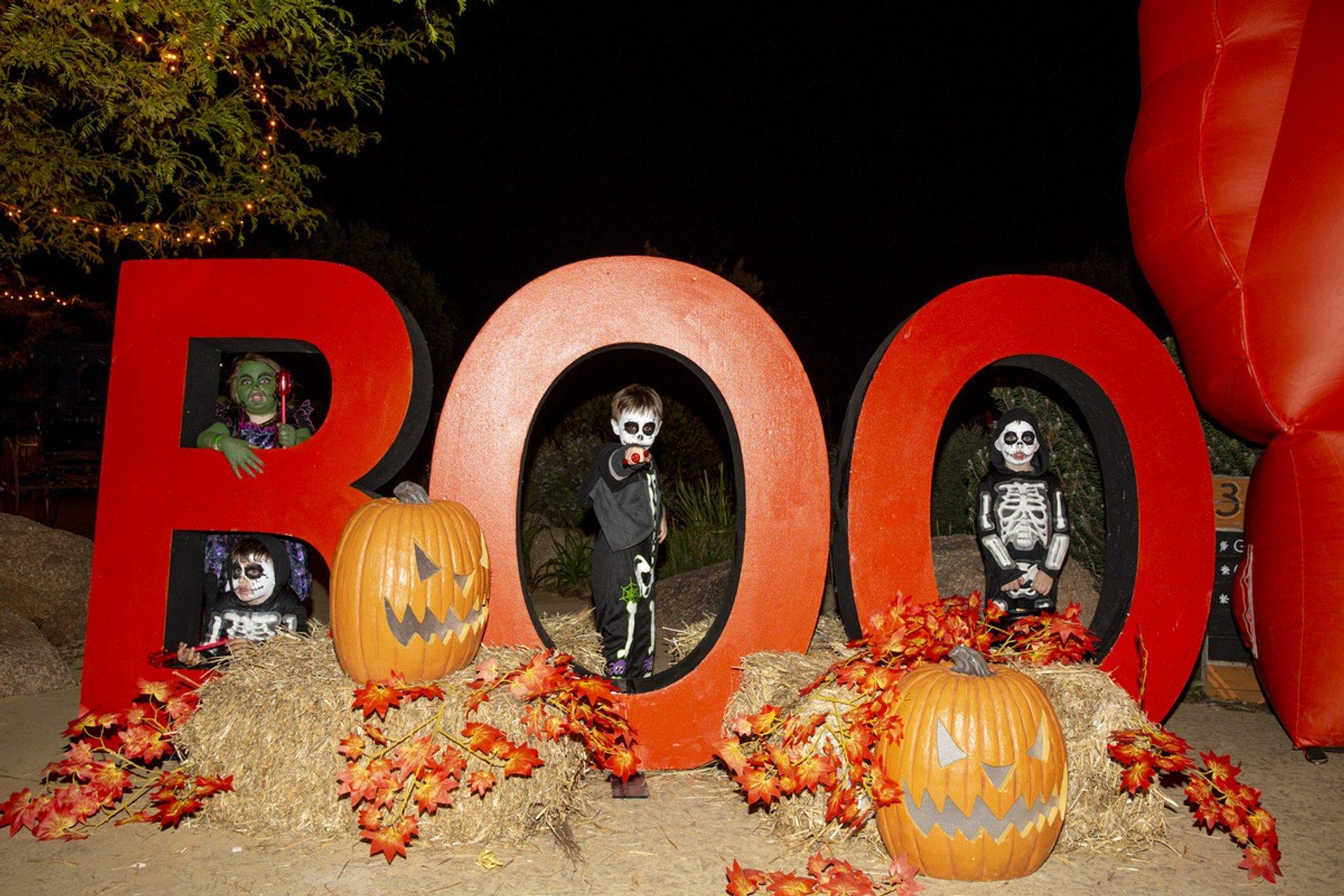 Halloween in Melbourne