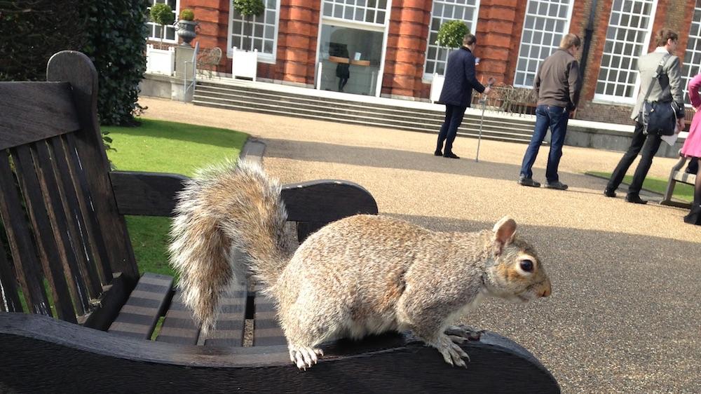 roteiro londres - esquilo - 2.1