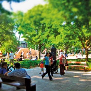 Toronto's hip hangouts